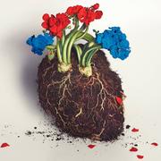 约束的个人资料头像