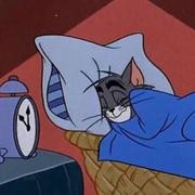 TC42的个人资料头像