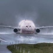 Wan9J1n的个人资料头像