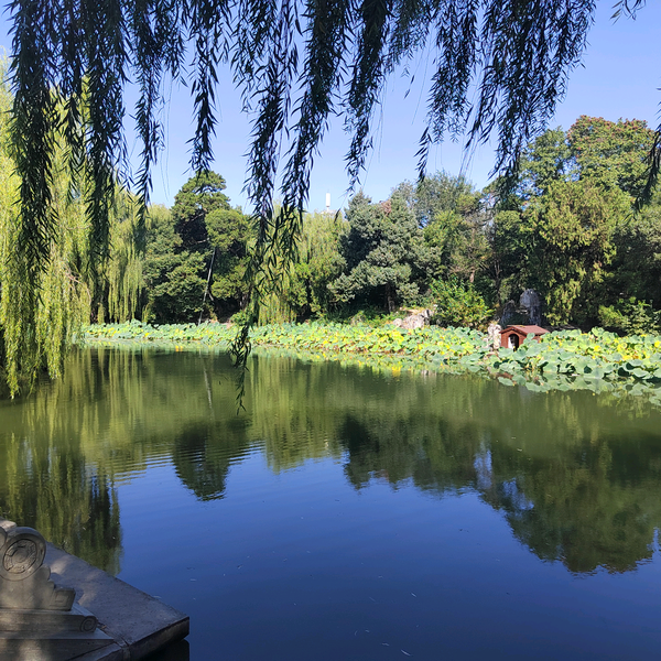 中国国际模型博览会头像