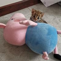 用户1641220929607头像