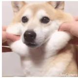 用户1055843131738头像