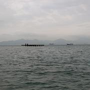 titi的个人资料头像