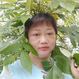 洒脱葡萄hq头像