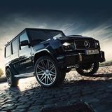 读财报涨知识头像