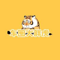 车圈大胖虎头像