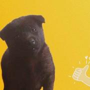 Lz103的个人资料头像