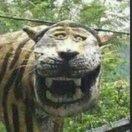 我不是黑客的个人资料头像