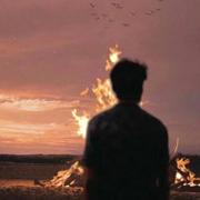 会跑的草莓蛋糕的个人资料头像