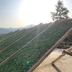 池记茶馆头像