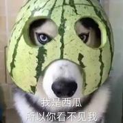 你看不见wo的个人资料头像