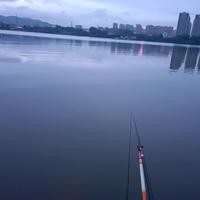 用户2555183173306头像