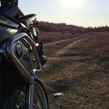 放飞的猴子头像