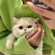 如果巴黎不快乐21的个人资料头像