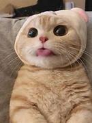 bukexuewang的个人资料头像