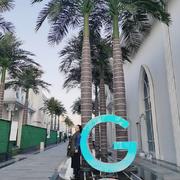 李江宇的个人资料头像