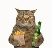 ytrq3的个人资料头像