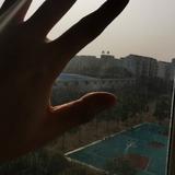 意孤行333头像