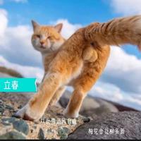 别黄昏7758521头像