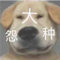 尚酷云车主头像