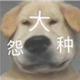 尚酷云车主 · 尚酷车主·车龄14年头像