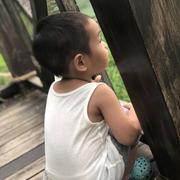 晚晚风的个人资料头像