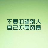 又一村游记头像