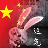 蔷薇头像