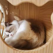 欢迎关注下公众号_程序员储物箱的个人资料头像