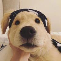 十七89389头像