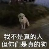 颓废哥呼呼头像