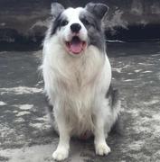 GH285的个人资料头像