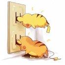 明明明重名了的个人资料头像