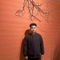 专打t0不吃香菜头像