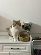 BenettHsu的个人资料头像