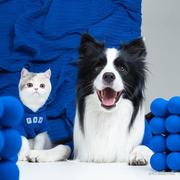 Null_01的个人资料头像