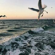 嘿帅的个人资料头像