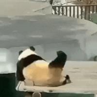踽踽独行go头像