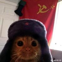 极速微风HXJ头像