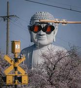 CVPro_Terence的个人资料头像