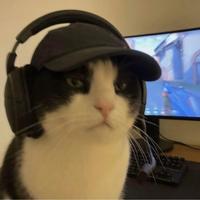 西米不会开车头像