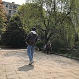 汤某人1头像
