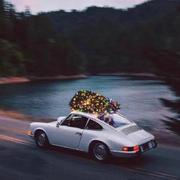 Zhis_Z的个人资料头像