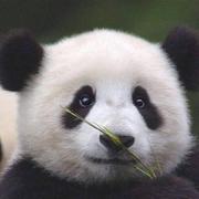 zw的个人资料头像