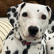 Bryant003的个人资料头像