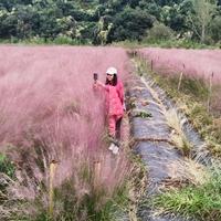 用户3703229890496头像