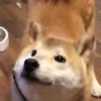 达尔文头像