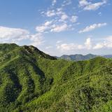荒北漠头像