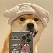 小马272的个人资料头像