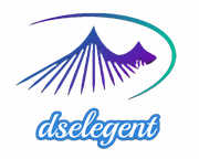 dselegent的个人资料头像